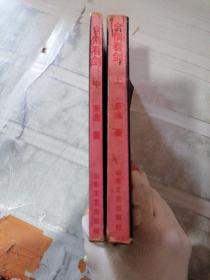 含情看剑 上中 共2本(有水印)