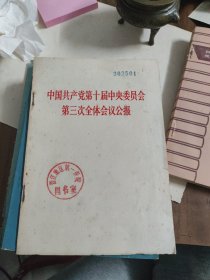 中国共产党第十届中央委员会第三次全体会议公报