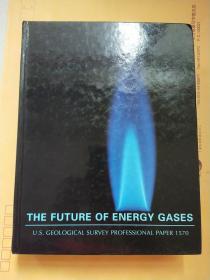 THE FUTURE OF ENERGY GASES