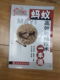 农村书屋系列：蚂蚁高效养殖技术一本通