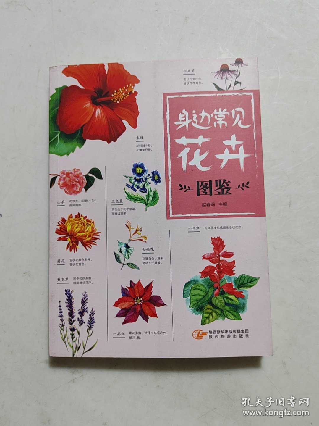 身边常见花卉图鉴