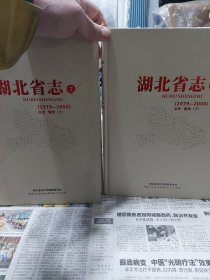 硬精装本旧书《湖北省志》(1979-2000)农业粮食上下两册全