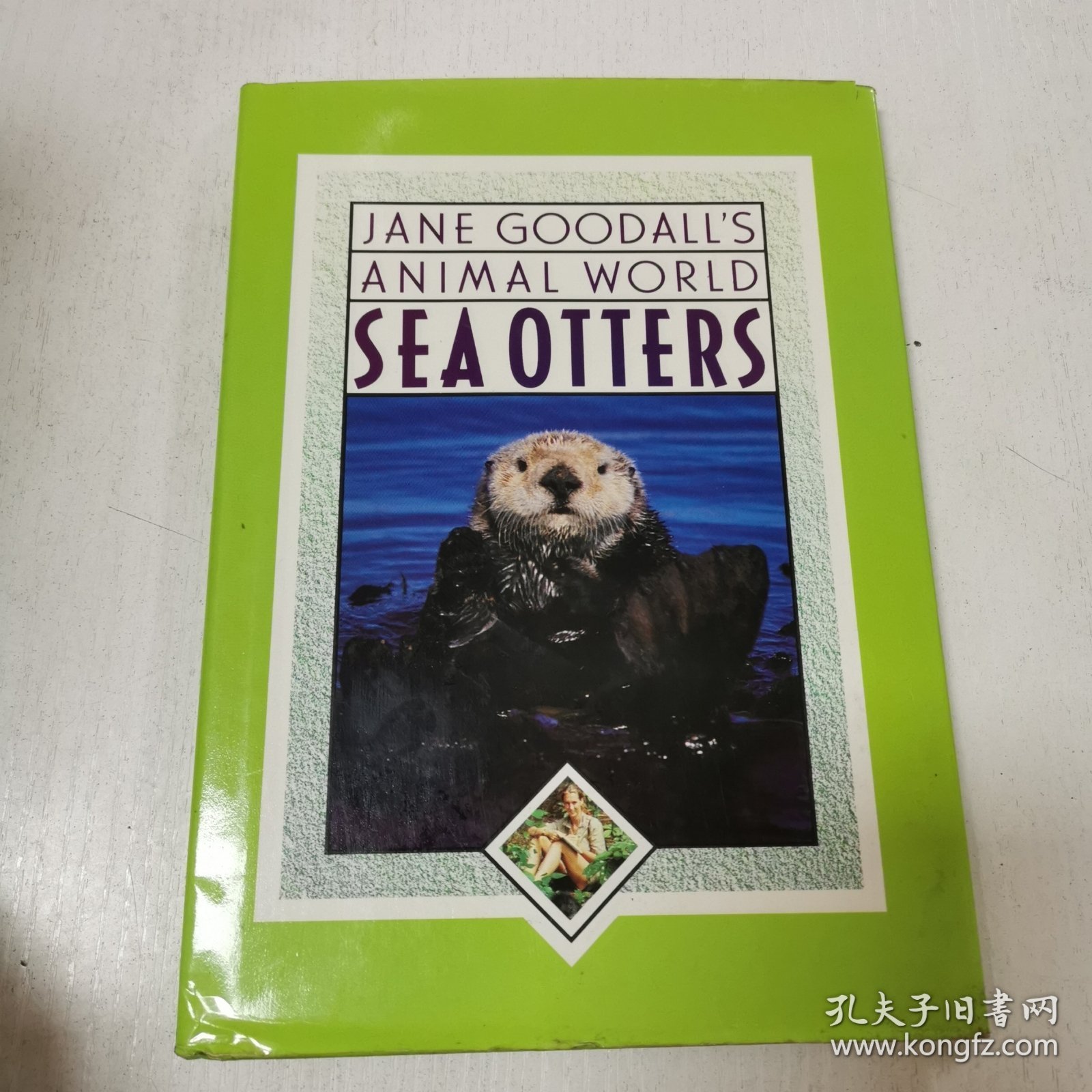 英文原版Jane Goodalls Animal World Sea Otters珍·古道尔斯:动物世界海獭