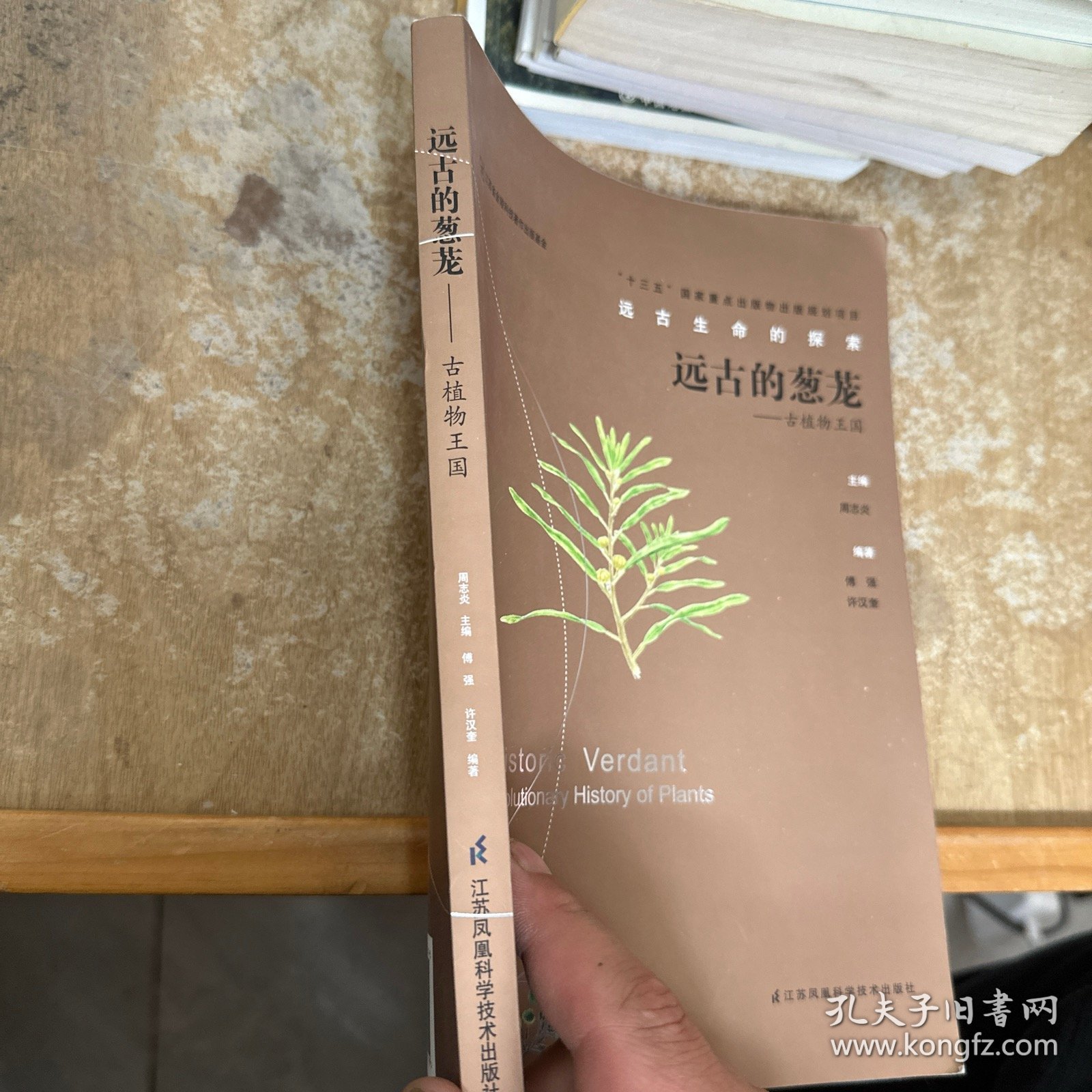 远古的葱茏：古植物王国/远古生命的探索