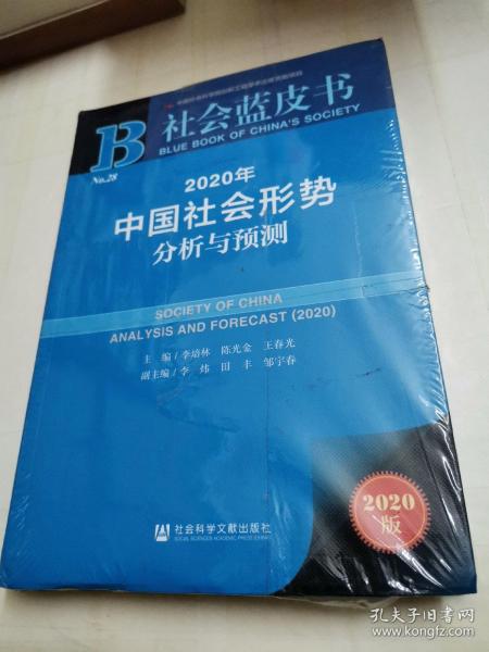 社会蓝皮书：2020年中国社会形势分析与预测