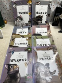西顿动物故事 【全8册】