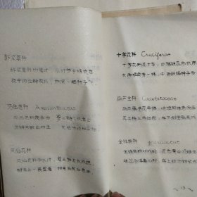 种子植物科特征口诀（油印本）