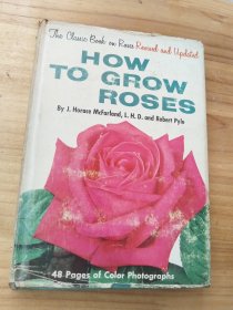 HOW TO GROW ROSES