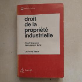 droit de la propriete industrielle (工业产权法）法文原版