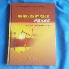 青藏高原及邻区油气资源战略调查与选区