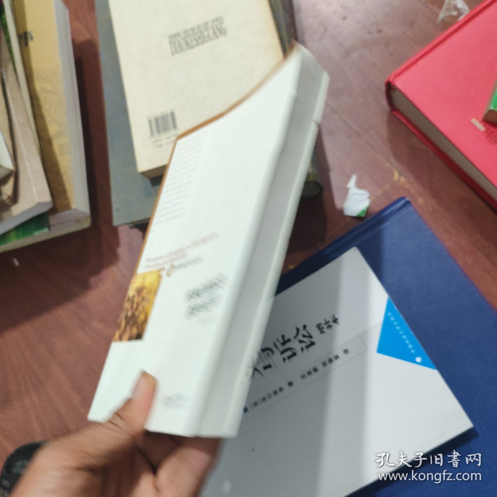 民事证据规定：原理与适用