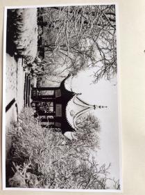 1980年大年初一，西安兴庆公园