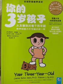 你的3岁孩子：从友善到对着干的年龄，培养创造力不可错过这一年
