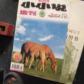 小小说选刊2002----19