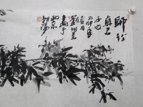 保真书画，当代国画名家，刘明星《师竹真君子也》国画一幅，软片，尺寸69×136cm。