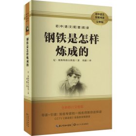 鋼鐵是怎么煉成的 完整版