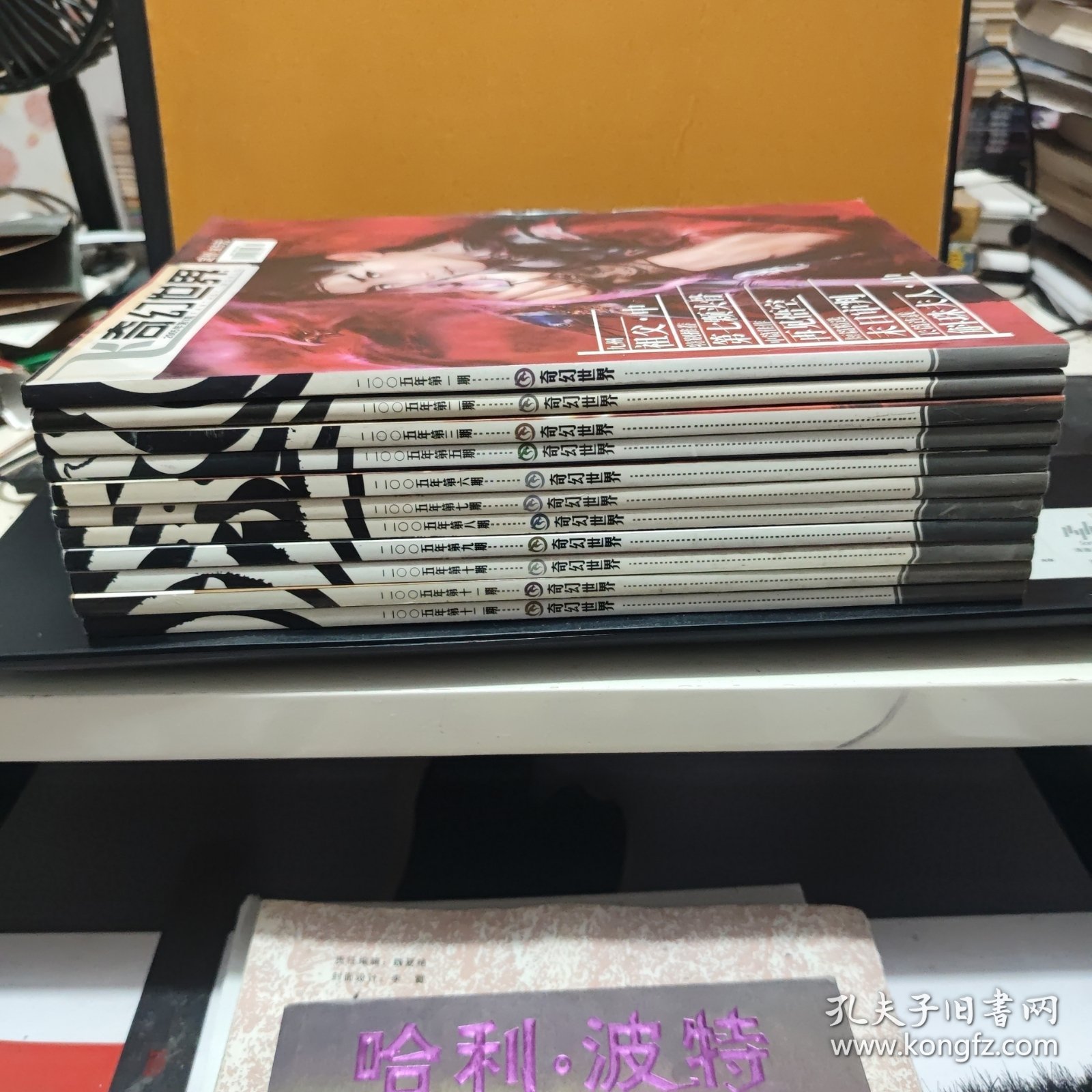 飞奇幻世界2005年1、2、3、5、6、7、8、9、10、11、12期（11册合售，详细品相参照书影）
