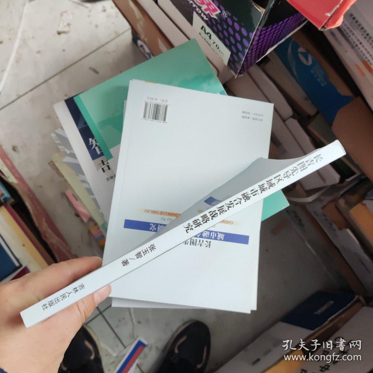 长吉图先导区域城市融合发展战略研究