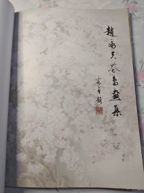 赵永夫花鸟画集