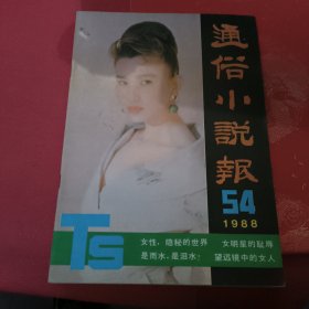 通俗小说报