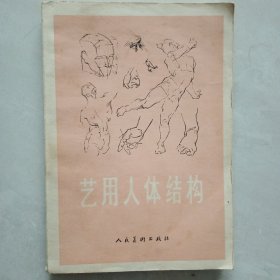 艺用人体结构