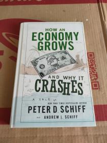 How an Economy Grows and Why It Crashes