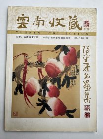 云南收藏 阳平康书画集
