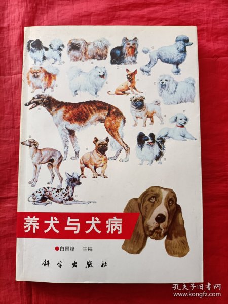 养犬与犬病