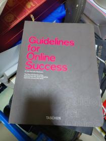 Guidelines for Online Success  正版现货- 1020L
