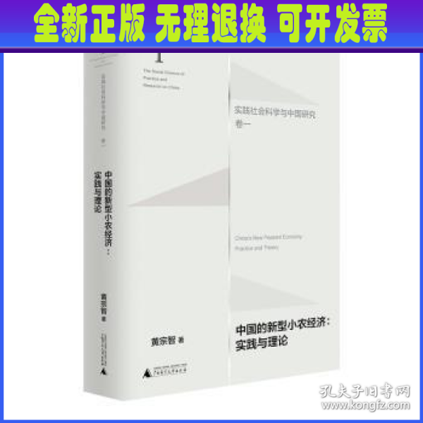 中国的新型小农经济：实践与理论（实践社会科学与中国研究·卷一）