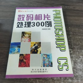 Photoshop CS数码相片处理300例