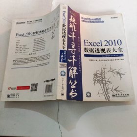 Excel 2010数据透视表大全