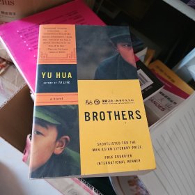 Brothers: A Novel