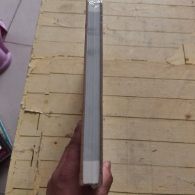 杨式太极拳术述真