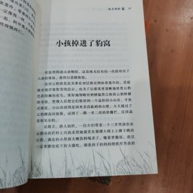 动物小说大王沈石溪品藏书系：虎娃金叶子+大鱼之道(升级版)+白象家族+牧羊神豹 共4本合售