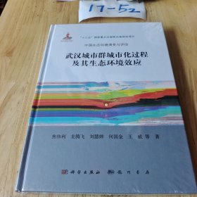 武汉城市群城市化过程及其生态环境效应