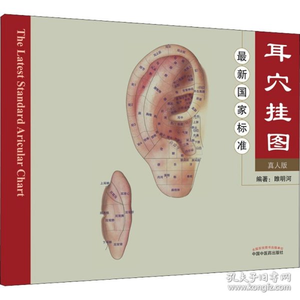 新华正版 最新国家标准耳穴挂图 真人版 作者 9787513205399 中国中医药出版社