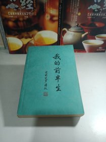 我的前半生