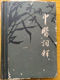 中医词释