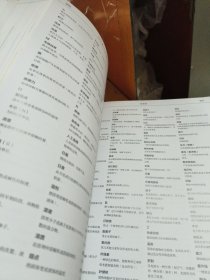 dk图解科学技术与工程DK儿童STEM创新思维培养图解科学dk图书dk图解科学小学思维训练