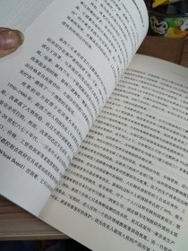 重新发现市场：一部市场的自然史