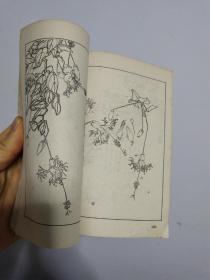 花卉画谱 品相自然旧 竖版 非馆藏无涂画 1963年一版一印 精品近85品