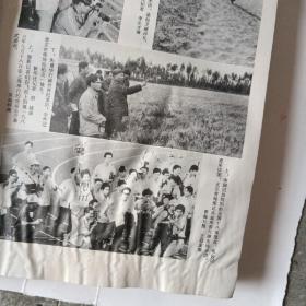 中国新闻年鉴1984年