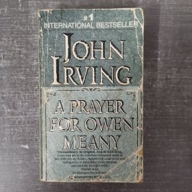 A PRAYER FOR OWEN MEANY