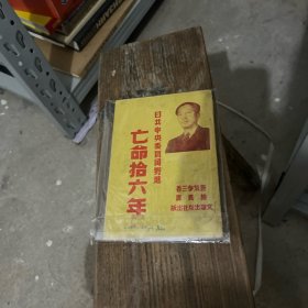 亡命十六年