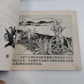 精品连环画：《机智勇敢打豺狼》