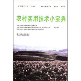 正版 农村实用技术小宝典 王凌, 李天凤, 主编 云南大学出版社