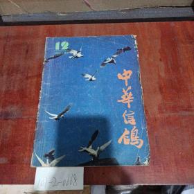 中华信鸽1988年第12期。