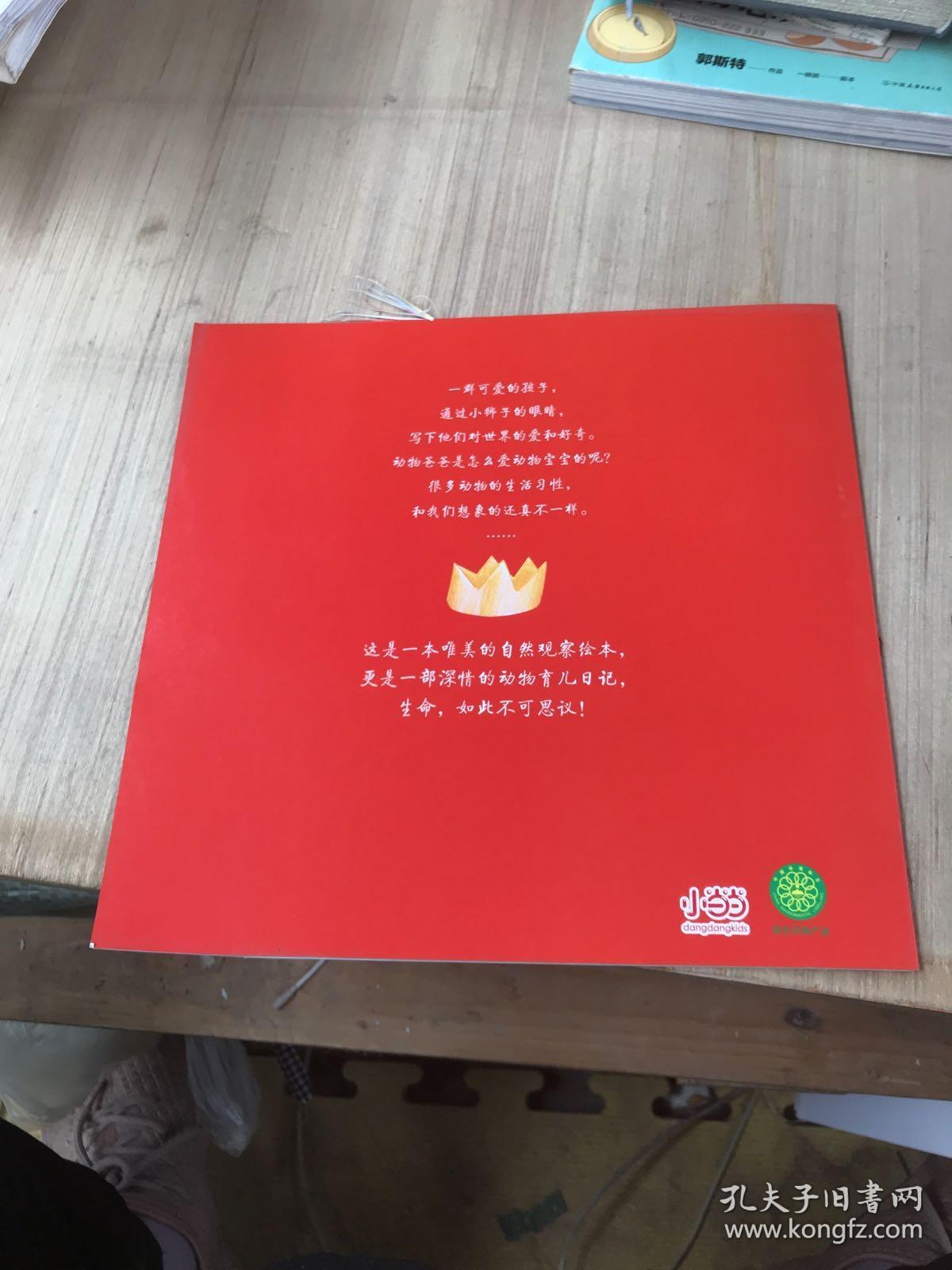 国际大奖科普系列（全6册）斩获20余项国际大奖，数十种国际权威机构赞誉推荐［小狮子的反抗］   （裁剪不齐，破损，如图）