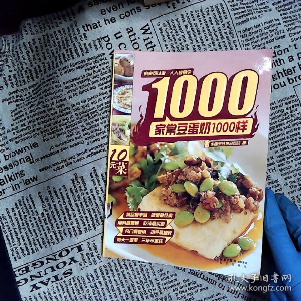 家常豆蛋奶1000样